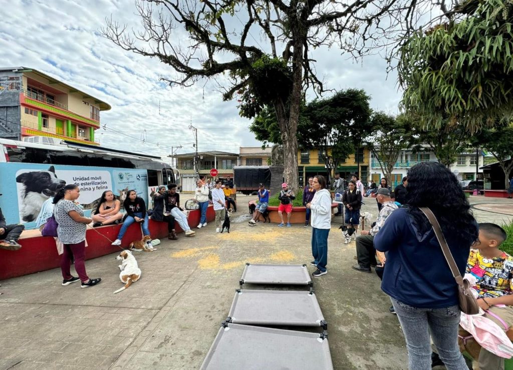 WhatsApp Image 2025-01-14 at 10.54.59 AM